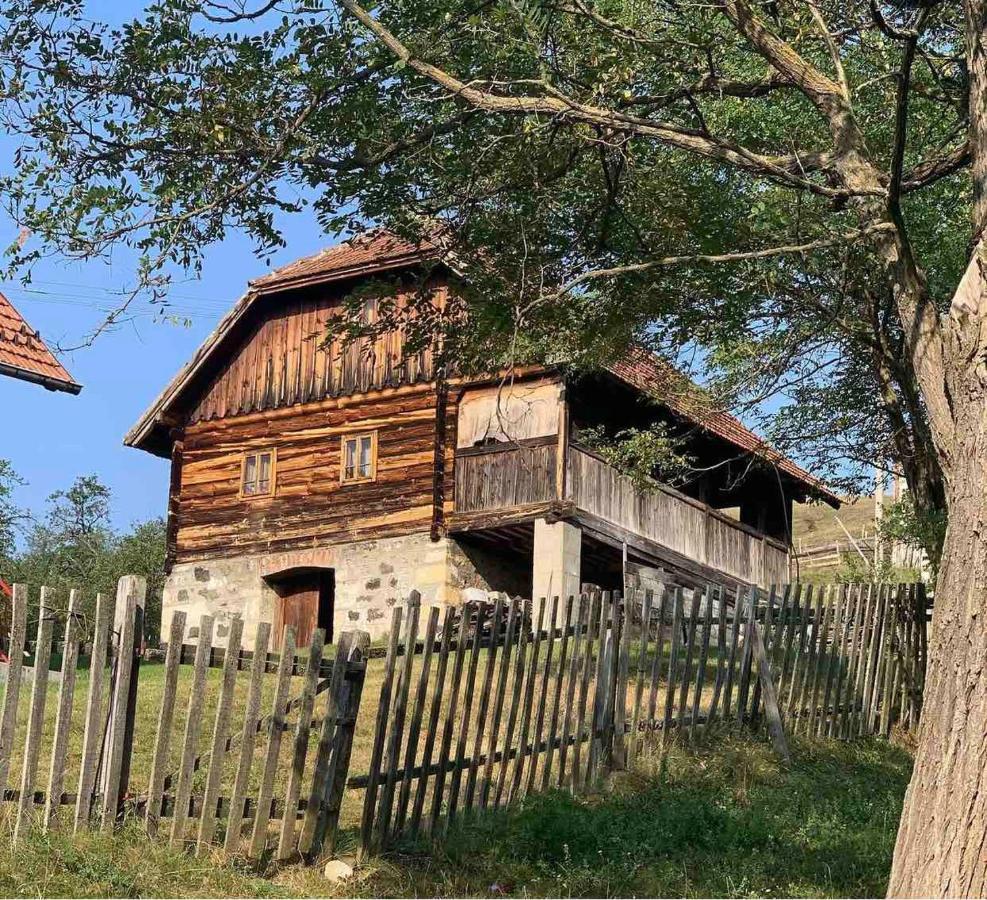 Etno Brvnara Tamara Villa Kremna Exterior foto